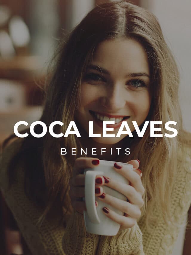 The benefits of coca leaves
